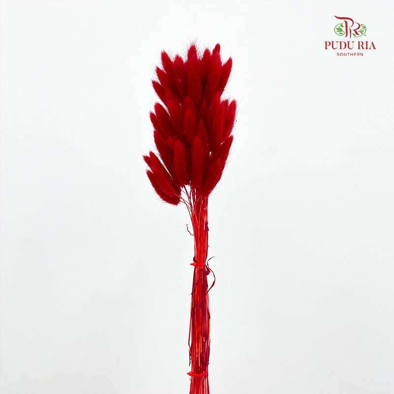 Dry Bunny Tails - Red