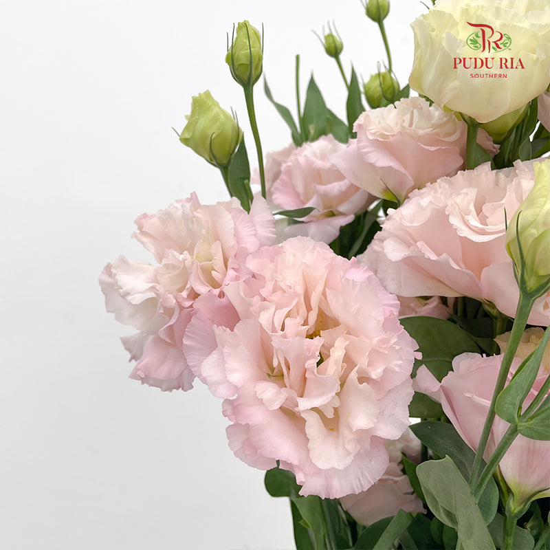 Eustoma Wave Pink - (12-15 Stems)