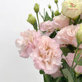 Eustoma Wave Pink - (12-15 Stems)