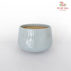 JBC-G23 Blue Pot