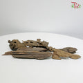 Honeycomb Wood 蜂窝木 1kg