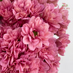 Chrysanthemum Pompom Resq Pink - (10-12 Stems)