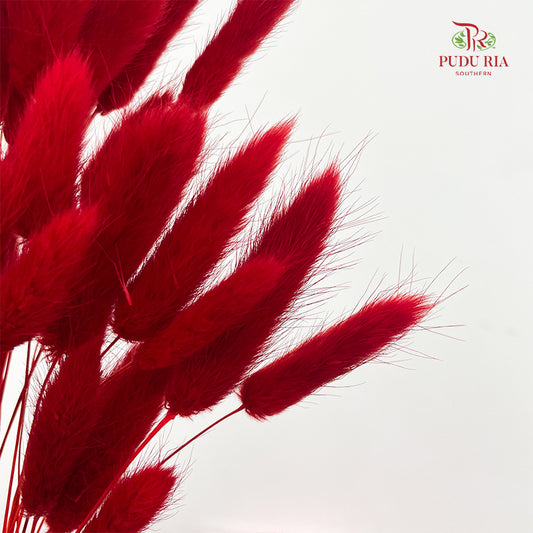 Dry Bunny Tails - Red
