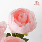 CNY Artificial Peony Bush 44cm - Soft Pink