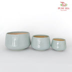 JBC-G23 Blue Pot