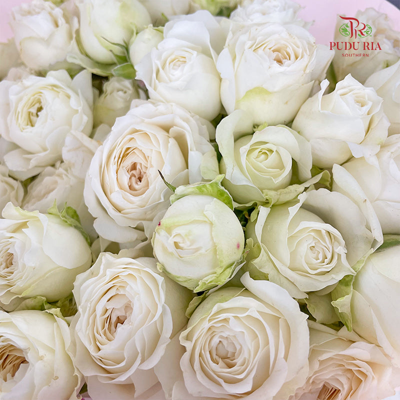 Rose Spray Princess Fairy Kiss White - (10-12 Stems)