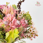 Safari Mix Cone / Cape Cone (7) 混合花卉 - (Per Bundle)