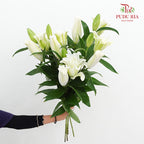 Rose Lily White 玫瑰百合 - (5 Stems)