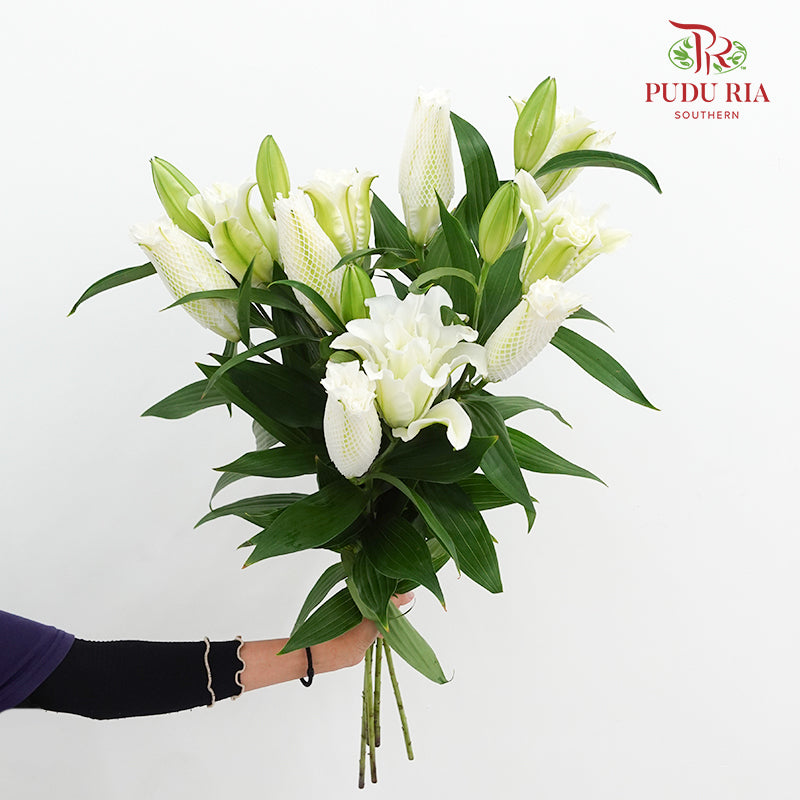 Rose Lily White - (5 Stems)