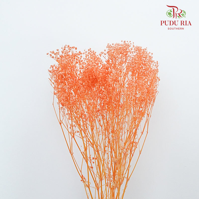 Preservative Baby Breath - Light Orange - Pudu Ria Florist Southern