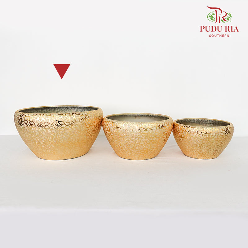 Yu-573 Gold Pot
