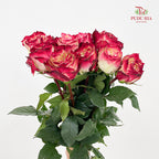 Rose Apple Jack - (8-10 Stems)