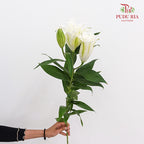 Rose Lily White 玫瑰百合 - (5 Stems)