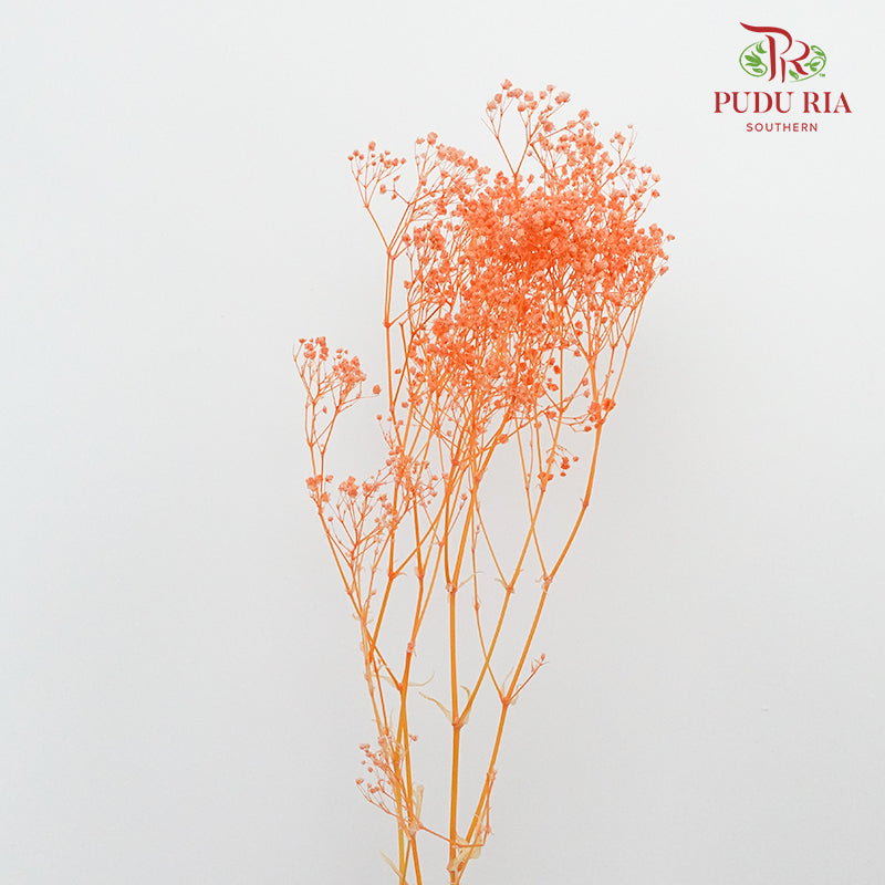 Preservative Baby Breath - Light Orange - Pudu Ria Florist Southern