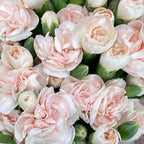 Carnation Spray Soft Peach 康乃馨- (18-20 Stems)