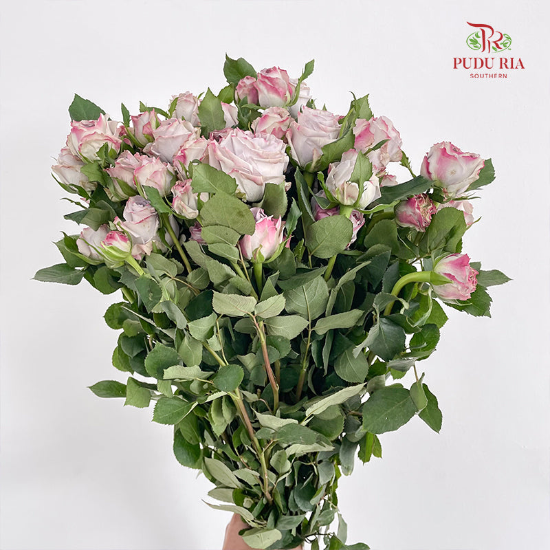 Rose Spray Soft Purple - (8-10 Stems)
