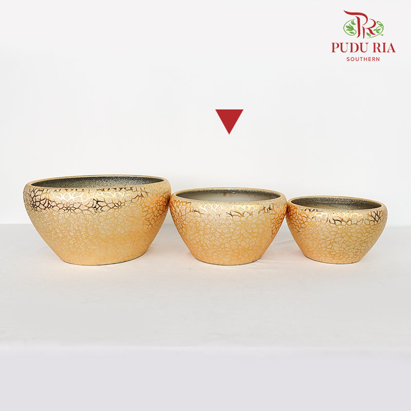 Yu-573 Gold Pot