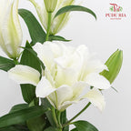 Rose Lily White 玫瑰百合 - (5 Stems)