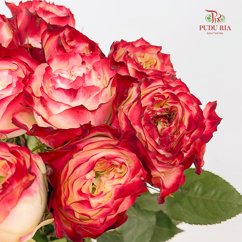 Rose Apple Jack - (8-10 Stems)