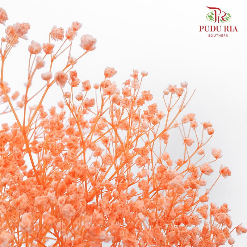 Preservative Baby Breath - Light Orange - Pudu Ria Florist Southern