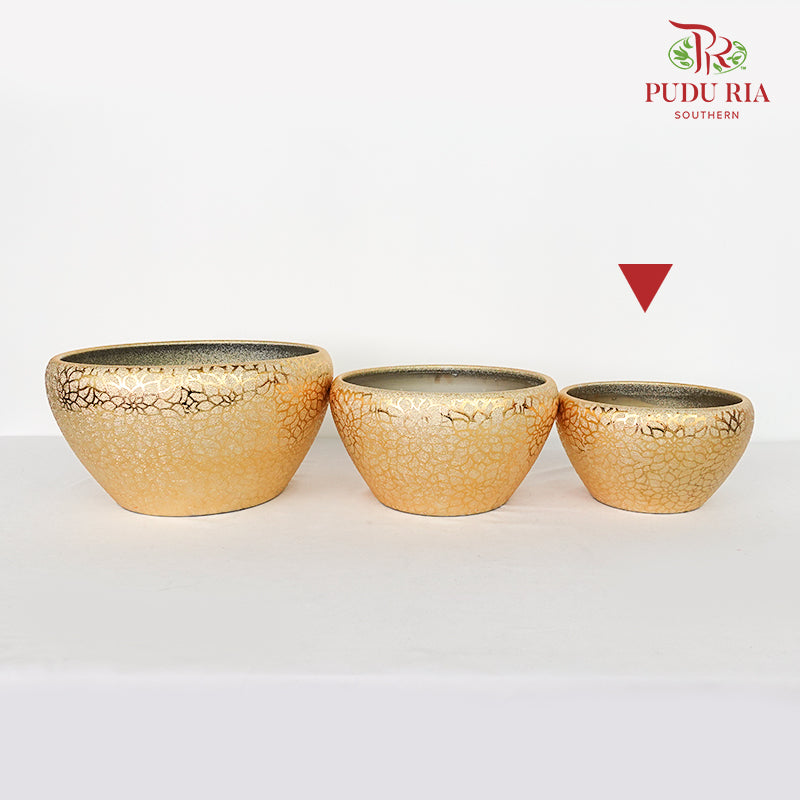 Yu-573 Gold Pot