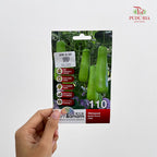 Vegetable & Fruit Seeds