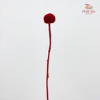 Preservative Craspedia - Red