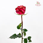 Rose Apple Jack - (8-10 Stems)