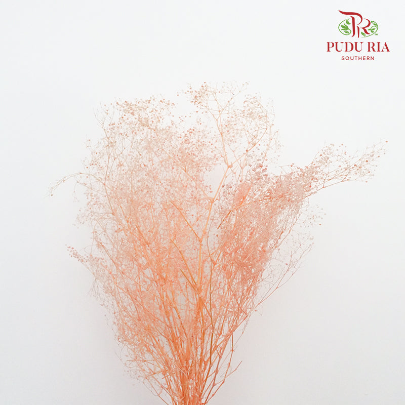 Preservative Baby Breath - Peach - Pudu Ria Florist Southern