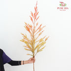 Melaleuca Gold Leaf Red - (Per Bundle)