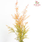 Melaleuca Gold Leaf Orange - (Per Bundle)