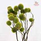 Chestnut - (Per Bundle)