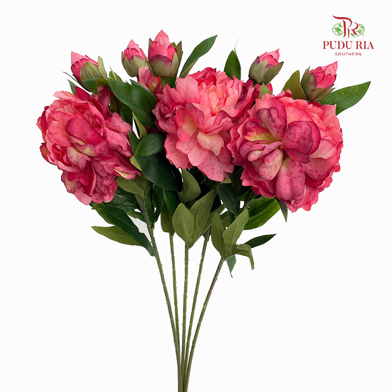 CNY Artificial Peony Spray 63cm Pink - (5 Stems)