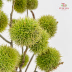 Chestnut - (Per Bundle)