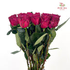 Rose Hot Pink - (8-10 Stems)