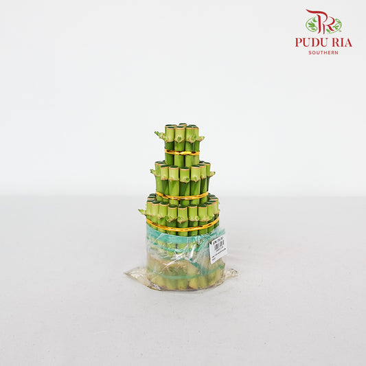 F3R/17CM Bamboo 富贵竹塔