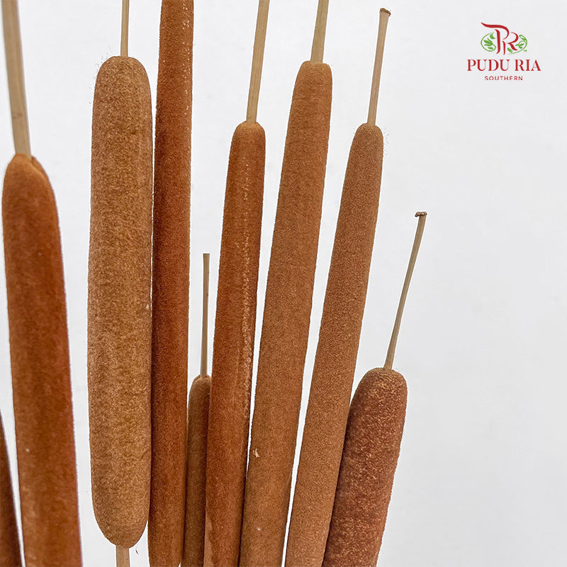 Dry Cattail Stick