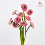Gerbera Pasta Germini Pink - (8-10 Stems)