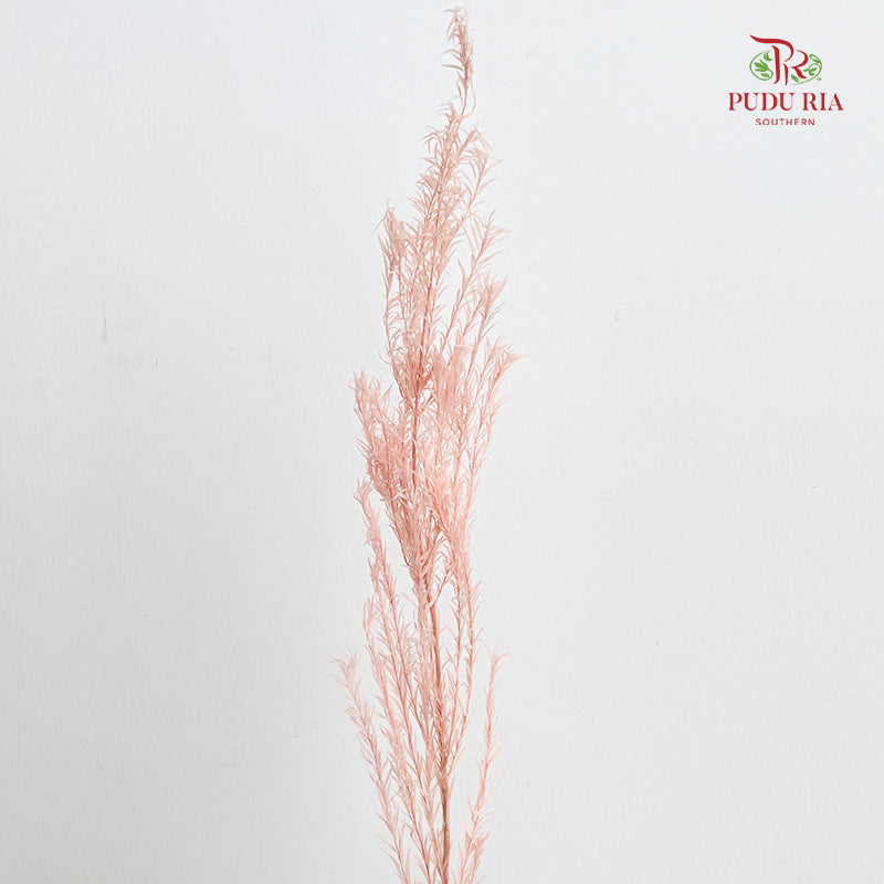 Dry Melaleuca Leaf Peach