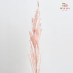 Dry Melaleuca Leaf Peach