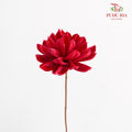 Dry Lantana Camara - Red