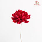 Dry Lantana Camara - Red