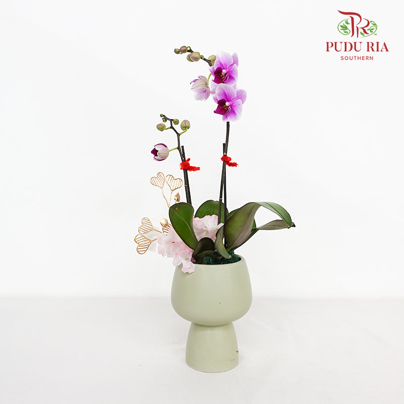 CNY Potted Plant Arrangement 2024#88