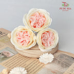 16 Bloom Austin Soap Flower Baby Pink & Yellow - FBA088#5