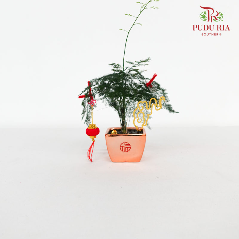 CNY Potted Plant Arrangement 2024#50