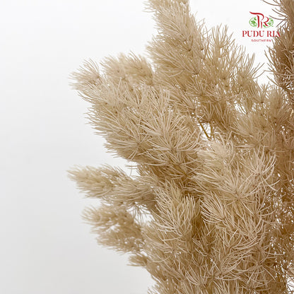 Preservative Asparagus Fern Nude