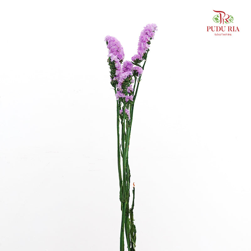 Dry Statice - Light Purple