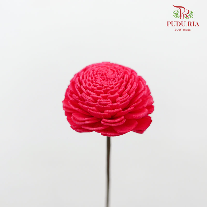 Dry Sola Wood Flower - Dark Pink