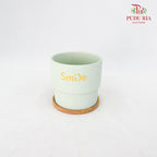 HS-0012 Asst Colours Pot