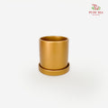 Matte Gold Terracotta Pot